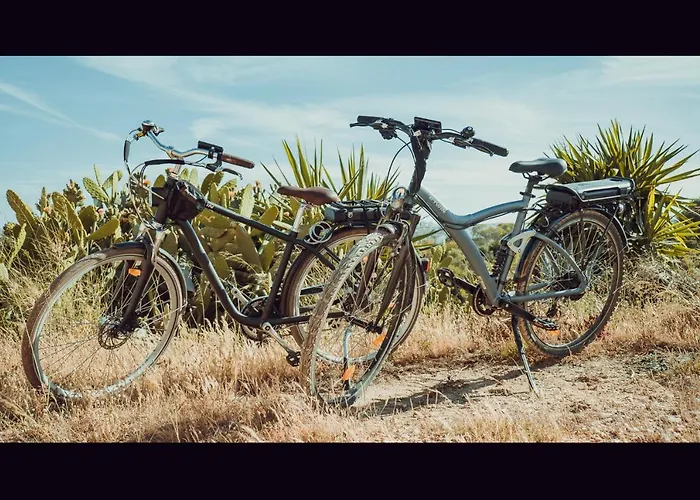 Moonshine Λάγος