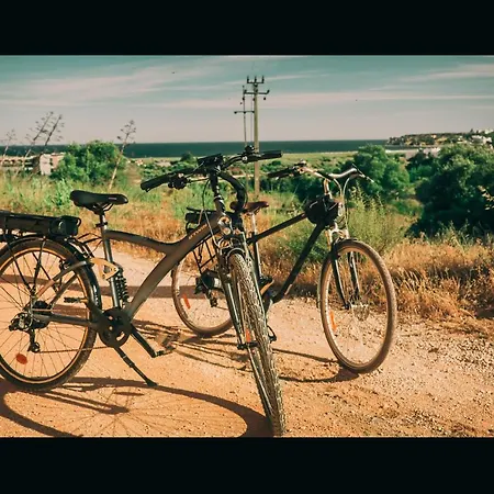 Moonshine With Private And Private Gæstehus