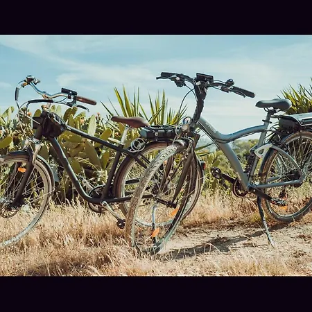 Moonshine With Private And Private Lagos