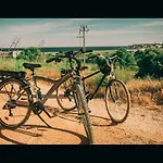Moonshine בית הארחה