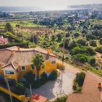 Moonshine